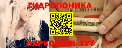 прущие грибы Бийск