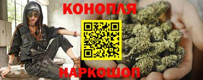 прущие грибы Бийск