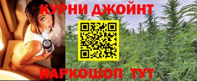 PSILOCYBIN Беслан