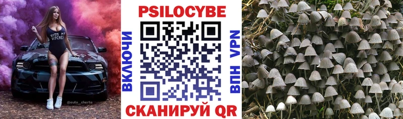 Галлюциногенные грибы Magic Shrooms  Великий Новгород 
