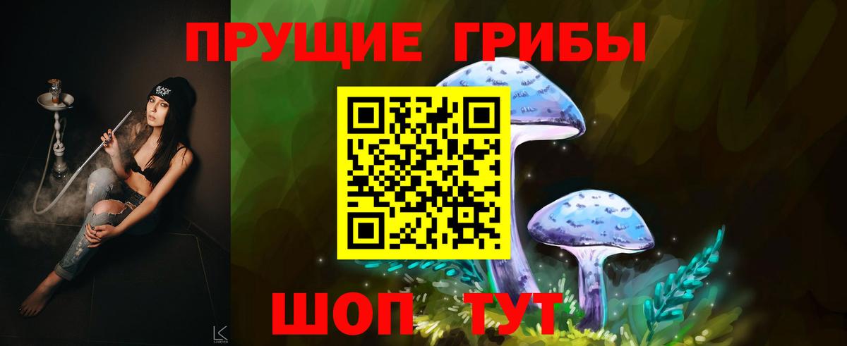 Галлюциногенные грибы ЛСД  где купить наркоту  Великий Новгород  Вход с VPN 