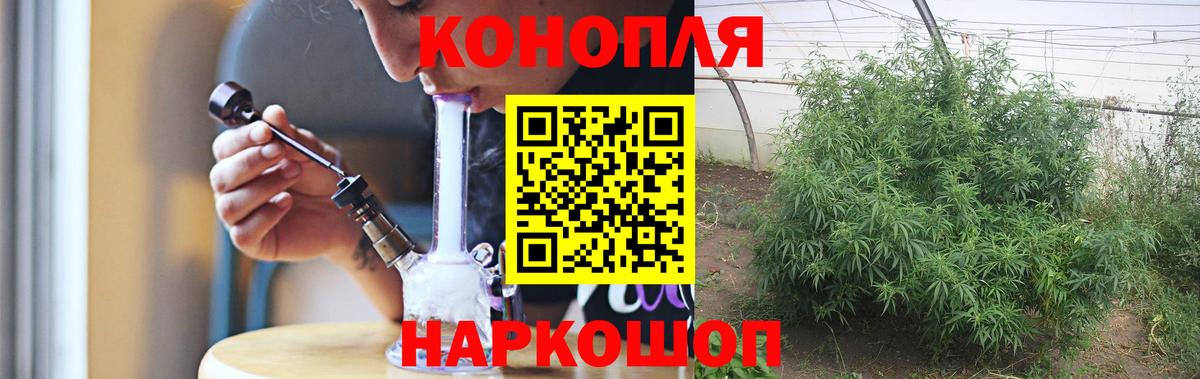 Бошки марихуана гибрид Великий Новгород